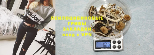 герыч Мегион