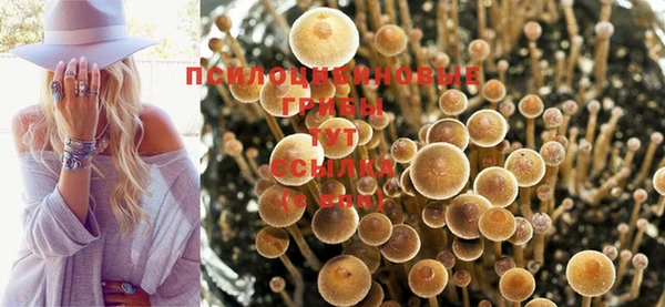 jwh Медвежьегорск